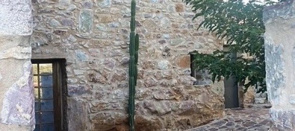 5 bedrooms Commercial property in Skoutari, Greece No. 346 12