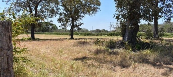  Land in Liberia, Costa Rica No. 1893 6