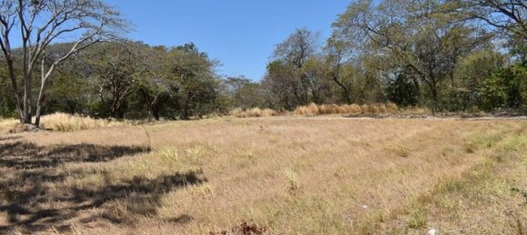  Land in Liberia, Costa Rica No. 1893 5