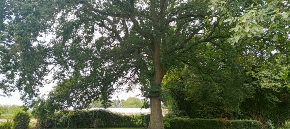 Casa T3 em Bernay-en-Ponthieu, France N.º 239361 15