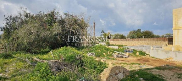 3 Schlafzimmer Villa in Qala, Malta, Nr. 767 14