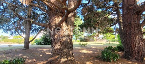 3 Schlafzimmer Haus in Paimpol, France, Nr. 308939 11