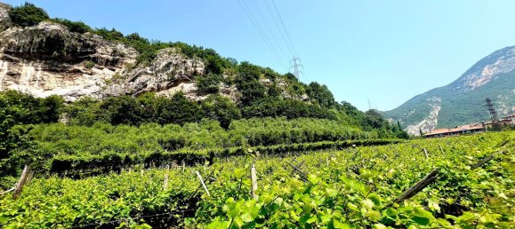 Terreno en Nago-Torbole, Italy No. 311596 5