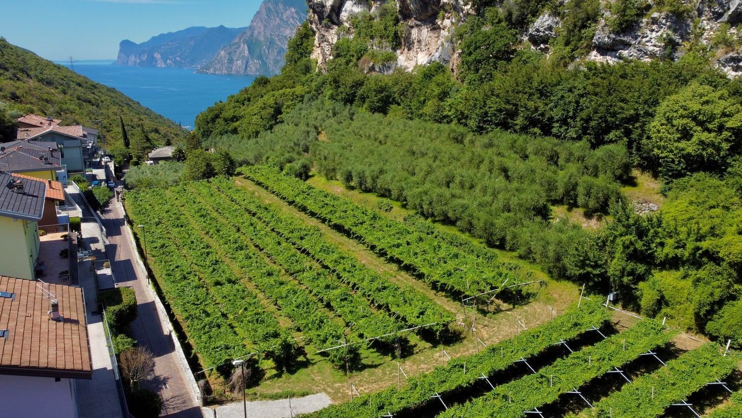 Terreno en Nago-Torbole, Italy No. 311596