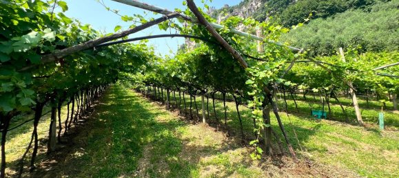 Terreno en Nago-Torbole, Italy No. 311596 6