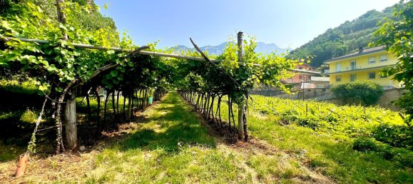 Terreno en Nago-Torbole, Italy No. 311596 4