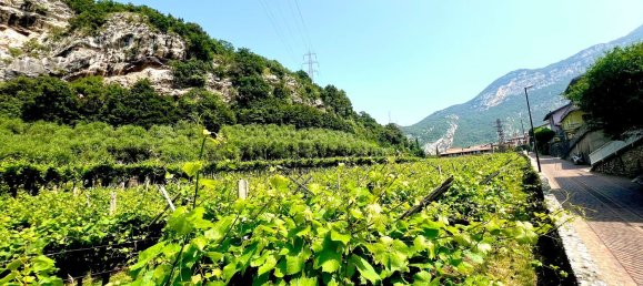 Terreno en Nago-Torbole, Italy No. 311596 7