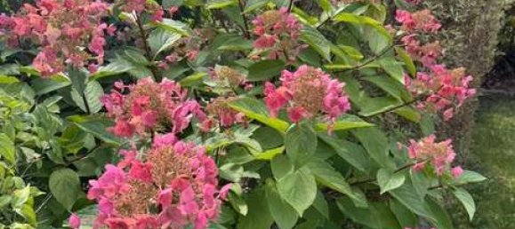 3 bedrooms Apartment in Furstenfeldbruck, Germany No. 366771 25