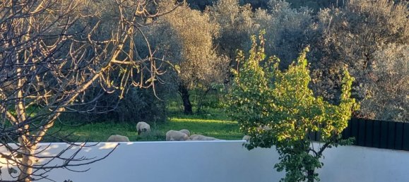 5 Schlafzimmer Haus in Setubal, Portugal, Nr. 189943 32