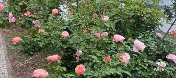 5 Schlafzimmer Haus in Setubal, Portugal, Nr. 189943 26