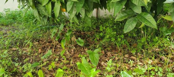 5 Schlafzimmer Haus in Setubal, Portugal, Nr. 189943 30