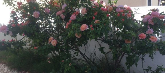 5 Schlafzimmer Haus in Setubal, Portugal, Nr. 189943 28