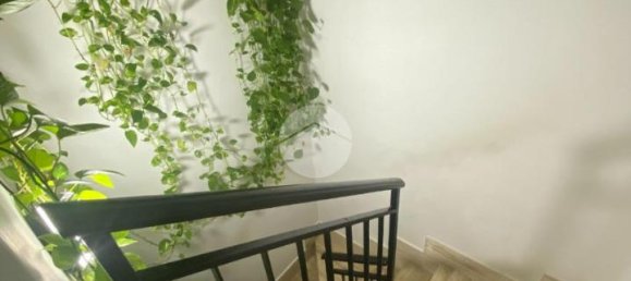 3-Zimmer Haus in Capaci, Italy, Nr. 90177 13