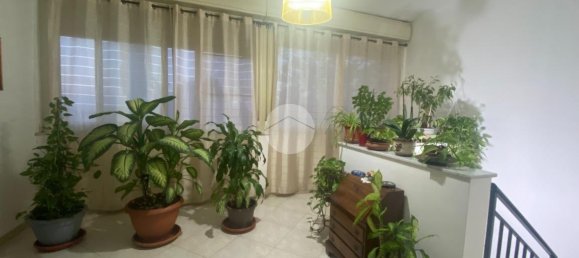 3-Zimmer Haus in Capaci, Italy, Nr. 90177 14