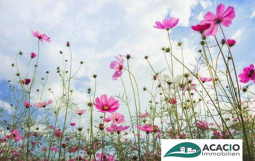  Land in Michelhausen, Austria No. 218250