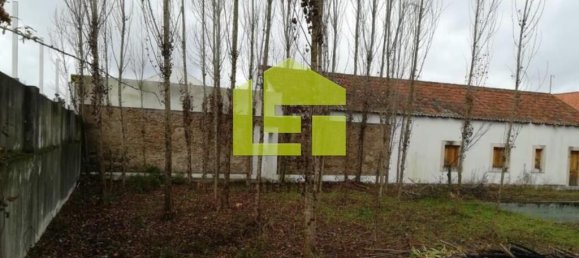 Casa T5 em Santa Margarida da Coutada, Portugal N.º 141222 11