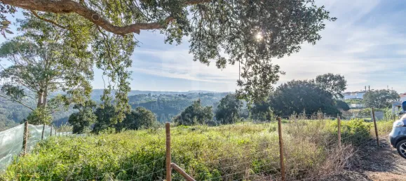  Land in Mafra, Portugal No. 90810 5
