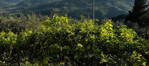 Дом с 5 комнатами в Понтассьеве, Италия № 257030 15