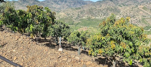 Casa T1 em Benamargosa, Spain N.º 36891 48