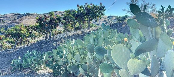 Casa T1 em Benamargosa, Spain N.º 36891 14