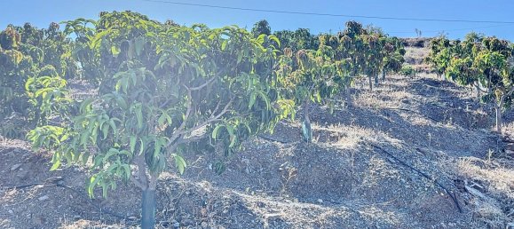 Casa T1 em Benamargosa, Spain N.º 36891 50