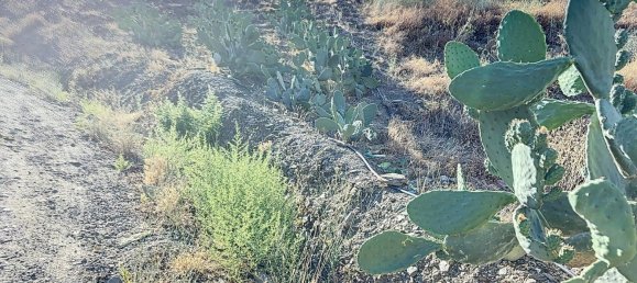 Casa T1 em Benamargosa, Spain N.º 36891 26