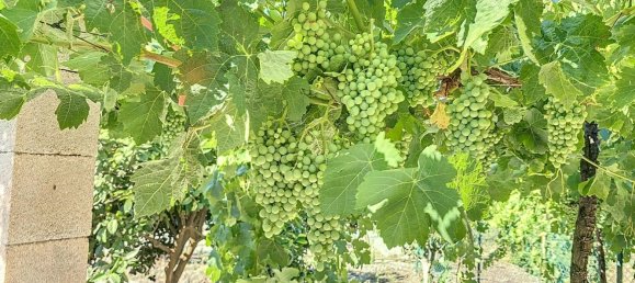 Casa T1 em Benamargosa, Spain N.º 36891 33