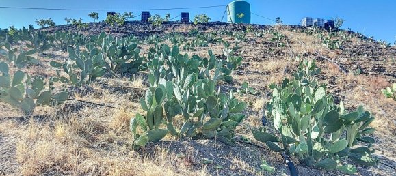 Casa T1 em Benamargosa, Spain N.º 36891 21