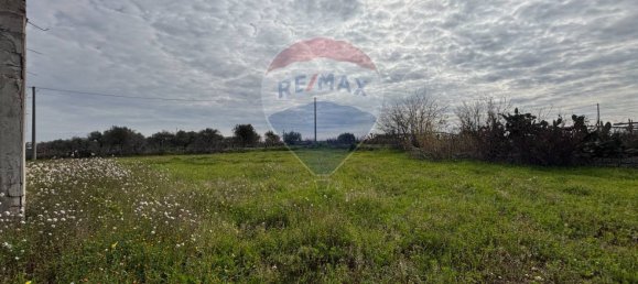 1 bedroom House in Turi, Italy No. 122087 16