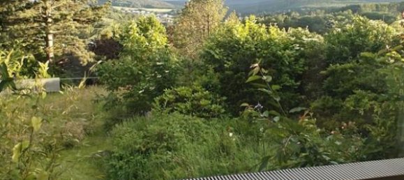 7 chambres Maison de ville à Hochtaunuskreis, Germany No. 340475 6