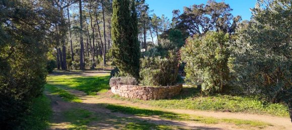 4 chambres Villa à Pianottoli-Caldarello, France No. 45098 34