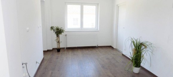 Casa de 4 habitaciónes en Gnadendorf, Austria No. 230132 11