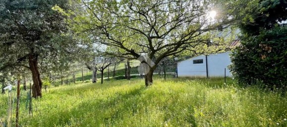 5 rooms House in Canelli, Italy No. 49744 31