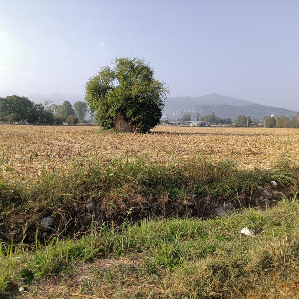 Terreno em Prevalle, Italy 26000 m² N.º 229381