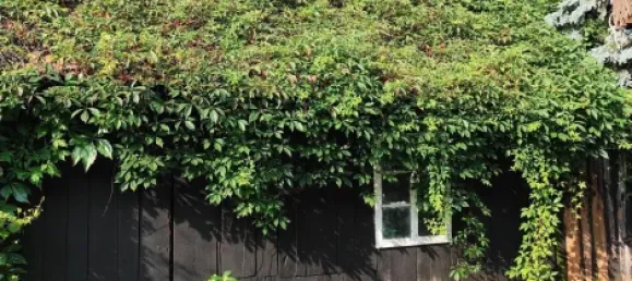 Casa de 5 habitaciónes en Gorlitz, Germany No. 265048 26