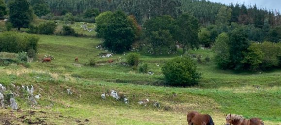  قطعة أرض في Cantabria, Spain رقم 158066 5