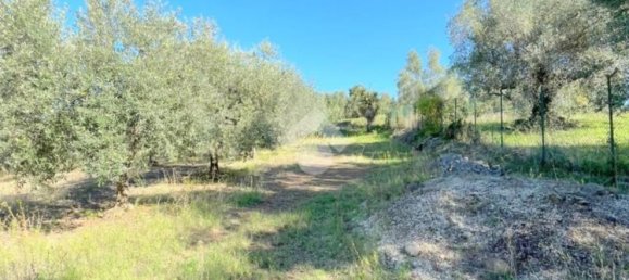 5000m² Land in Velletri, Italy No. 169404 8