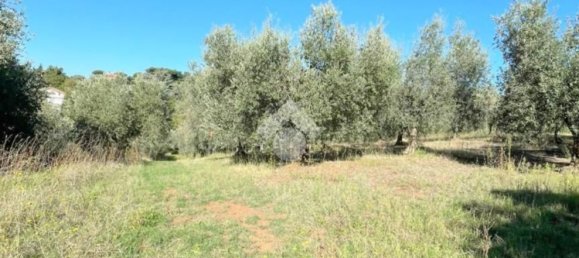 5000m² Land in Velletri, Italy No. 169404 5