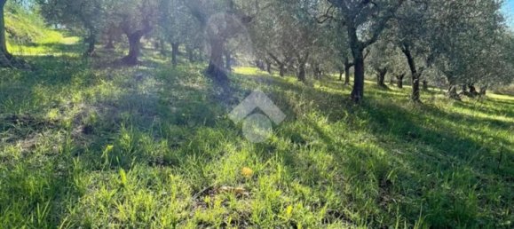 5000m² Land in Velletri, Italy No. 169404 10