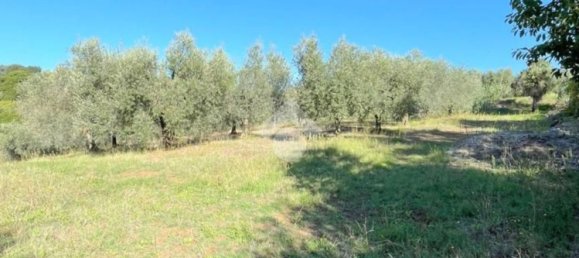5000m² Land in Velletri, Italy No. 169404 6