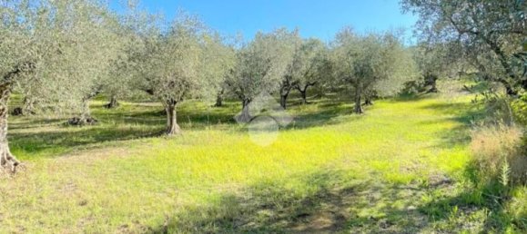 5000m² Land in Velletri, Italy No. 169404 2