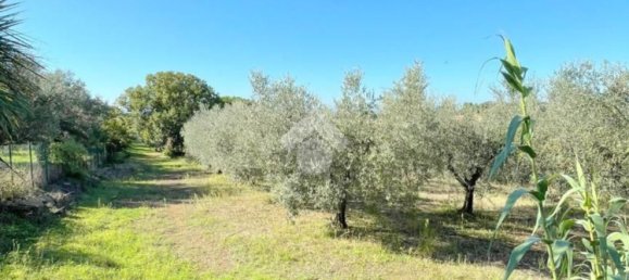 5000m² Land in Velletri, Italy No. 169404 4