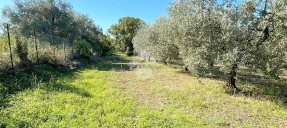 5000m² Land in Velletri, Italy No. 169404 3
