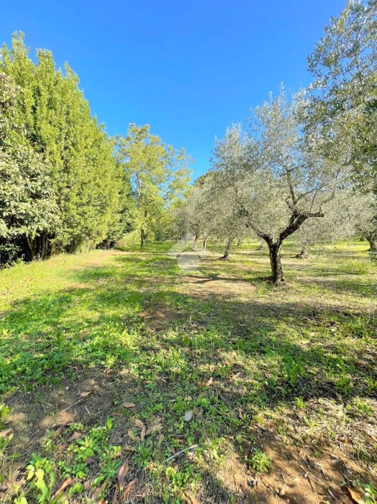 5000m² Land in Velletri, Italy No. 169404