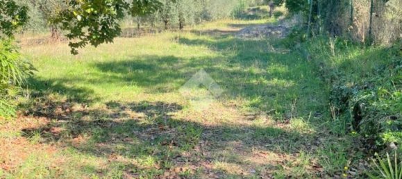 5000m² Land in Velletri, Italy No. 169404 7