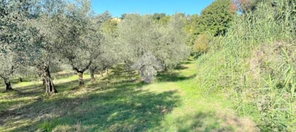5000m² Land in Velletri, Italy No. 169404 9