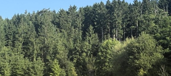 Terreno em Neumarkt im Muhlkreis, Austria N.º 131154 4