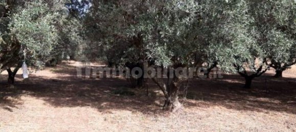 Земельный участок 3634м² в Капотерра, Италия № 292493 6