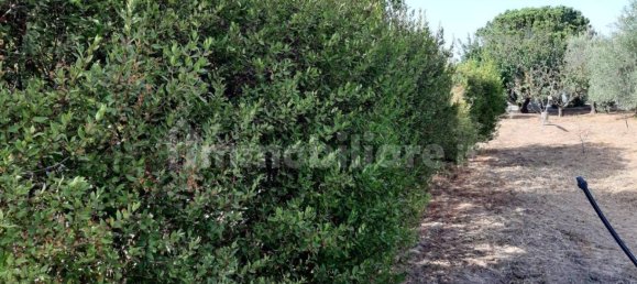 Земельный участок 3634м² в Капотерра, Италия № 292493 4