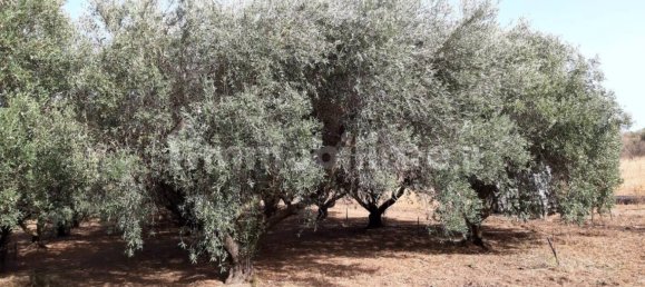 Земельный участок 3634м² в Капотерра, Италия № 292493 2